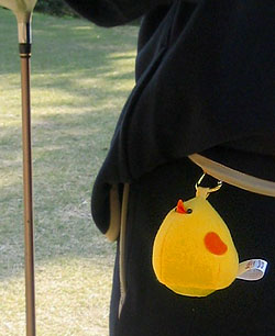 PHOTO:�ɂ��ɂ���y���{�[���P�[�X�C���[�W